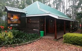 Murchison Backpackers