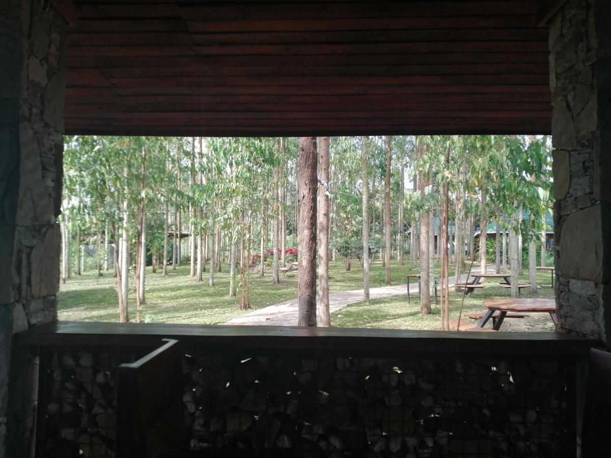 Murchison Backpackers Masindi Exterior photo