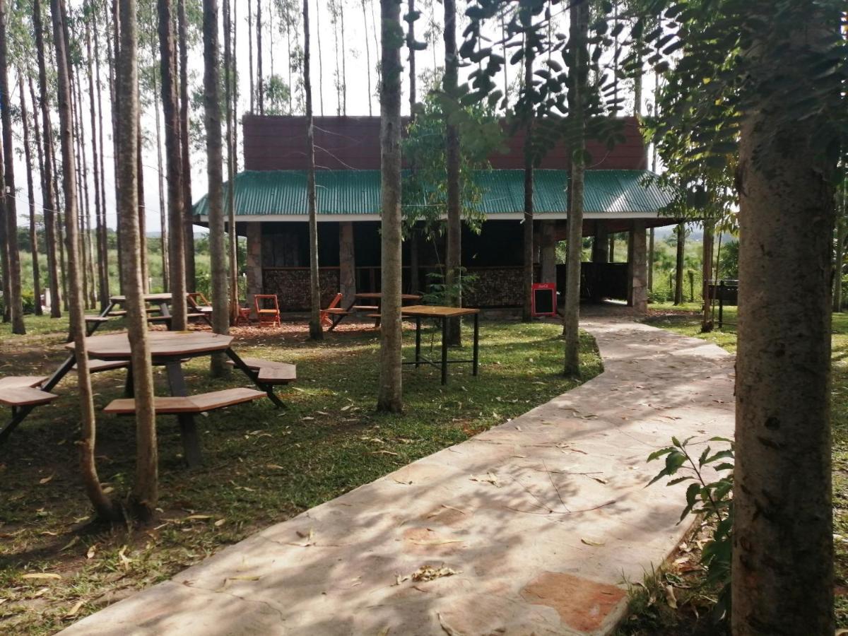 Murchison Backpackers Masindi Exterior photo